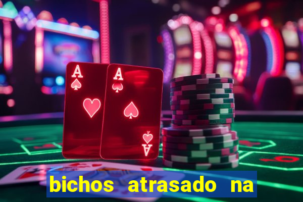 bichos atrasado na loteria dos sonhos